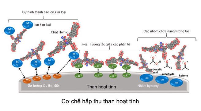 Cơ chế lọc hấp thụ với vật liệu phổ biến nhất l&agrave; than hoạt t&iacute;nh