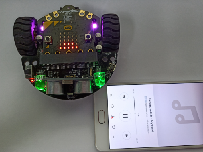 h&igrave;nh ảnh.png