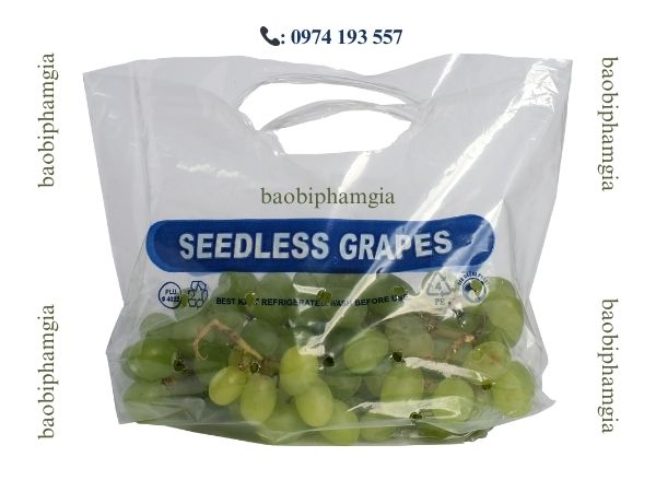 baobiphamgia-địa chỉ in t&uacute;i ni l&ocirc;ng gi&aacute; rẻ tphcm